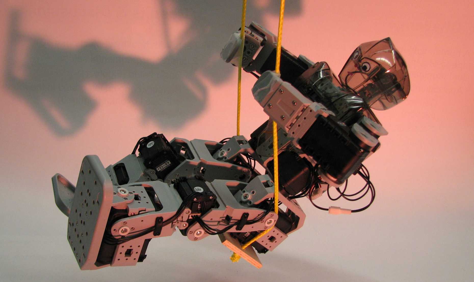 Riener: Humanoid Robot