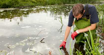 wegleitung umweltnaturwissenschaften eth