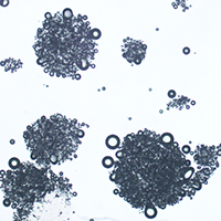 Mikrogeschäumtes microPow-Aromapulver unter dem Mikroskop 