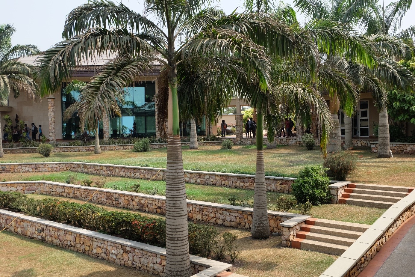 garden and building on Ashesi University campus
