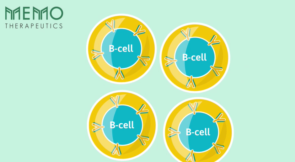 Illustration der eingefangenen B-Zellen in einem Wasser-in-Öl-Tropfen