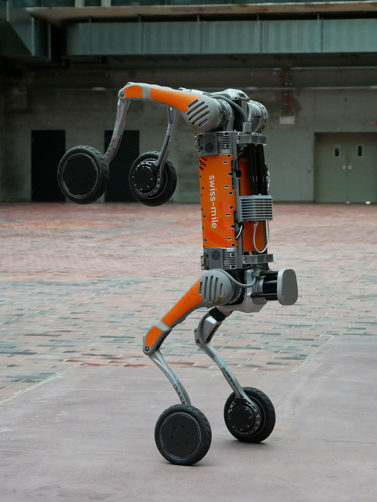 Swiss-Mile robot on front legs