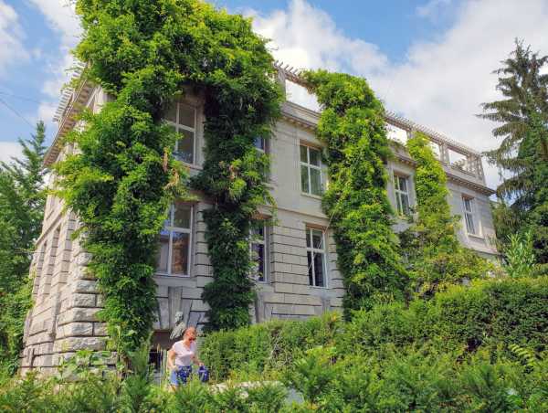 Spectacular: the gardens and green façades of the LFW building. (Photograph: Florian Meyer)