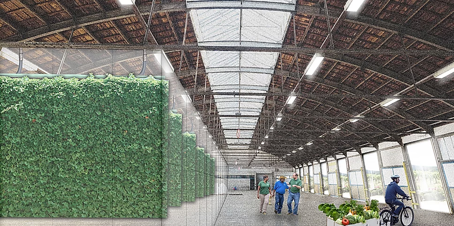 Visualisation of an industry hall with vertical plants