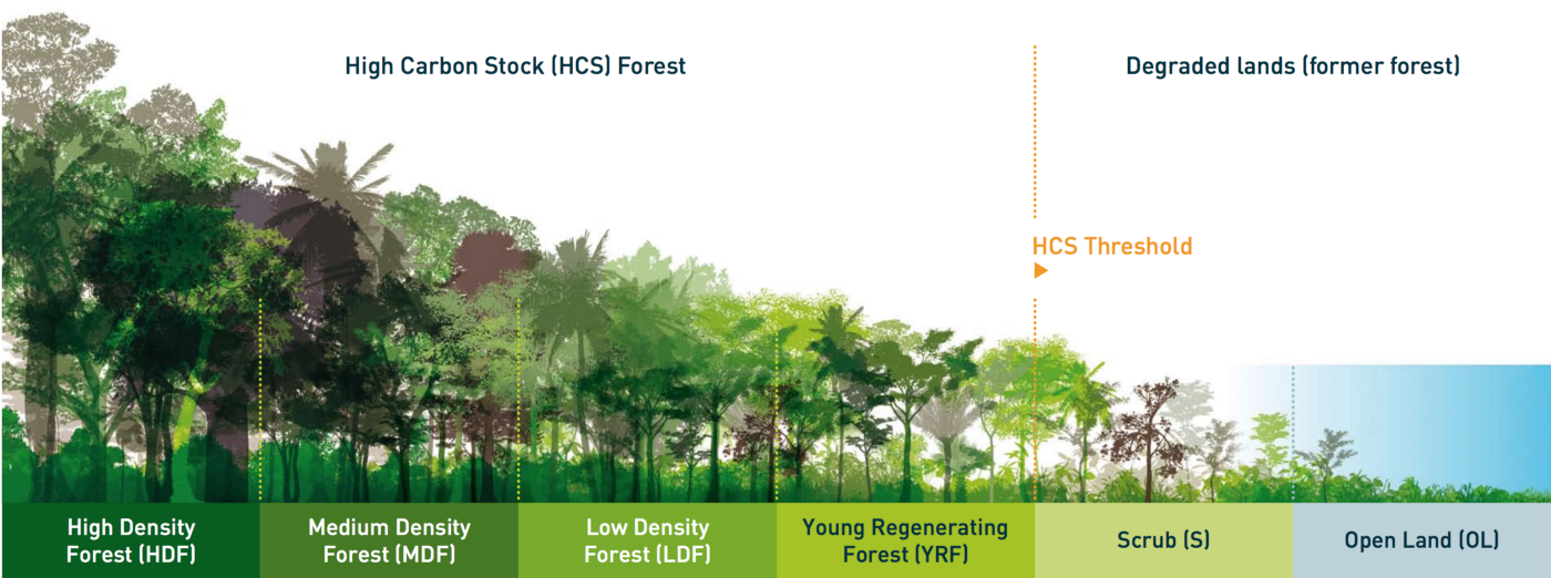 illustration of forest division into different categories - from high density to open land