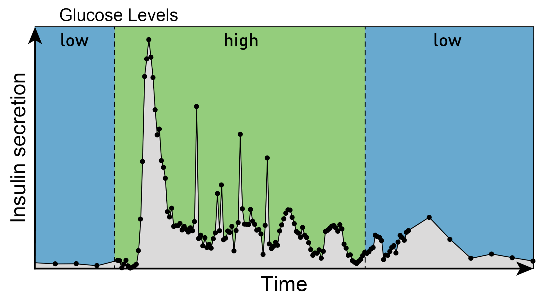 graph showing insulin secretion over time and corresponding glucose levels