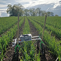 weeding cart prototype on field