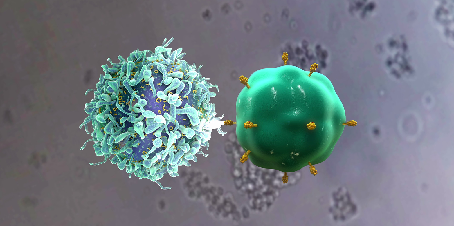 A T-cell and an antigen