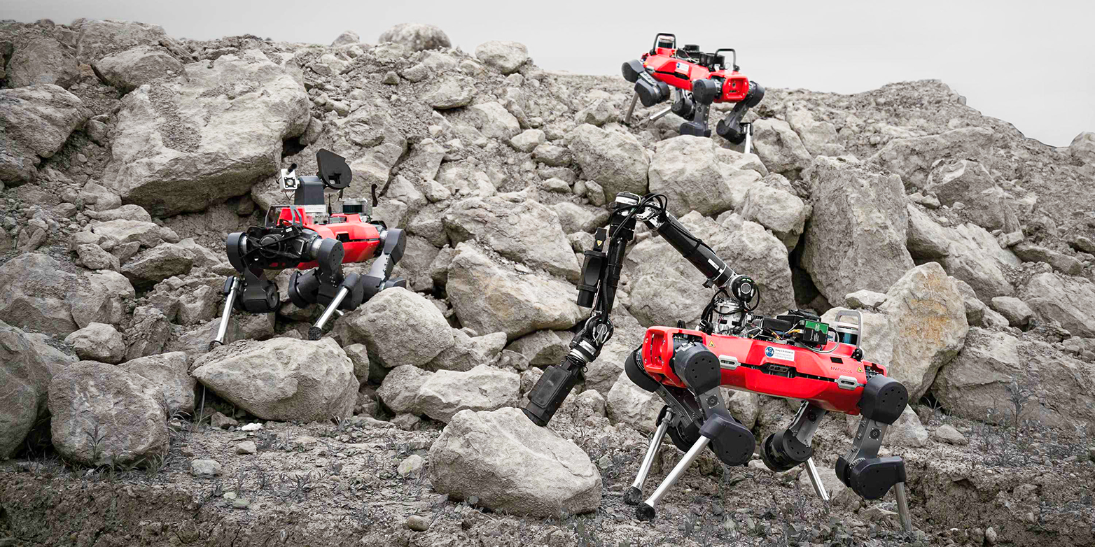 3 ANYmal robots that look like dogs