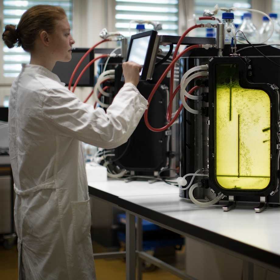 Microalgae bioreactor