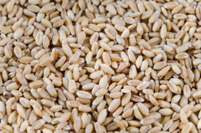 Enlarged view: Wheat
