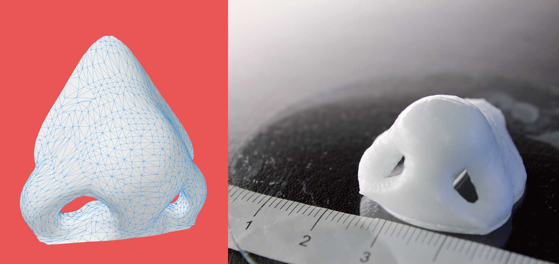 Enlarged view: Computer model and 3D printing object