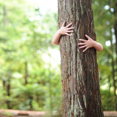 Person hugs a tree