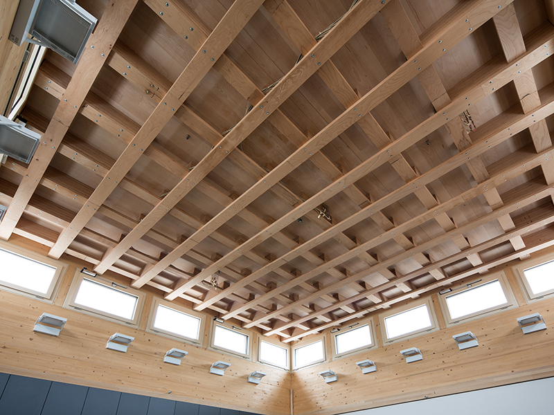Roof structure with a beech wood slab