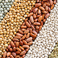 legumes as source of iron
