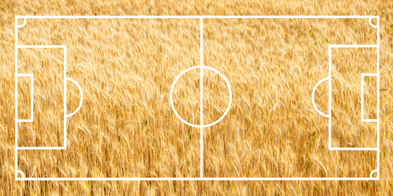 Enlarged view: Pitch on wheat