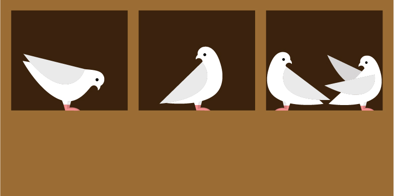 Four pigeons are divided into three boxes. According to the pigeonhole principle, some box must contain two pigeons. (Image: Shutterstock)