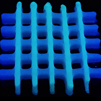 Grid made of bacterial material, 3D printed (from Schaffner et al. Science Advances 2017)