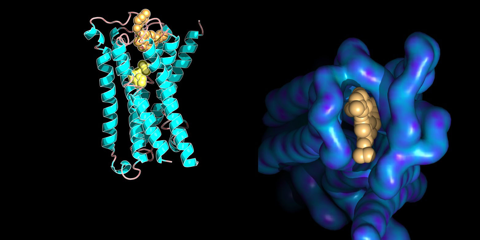 eth zurich molecular dynamics