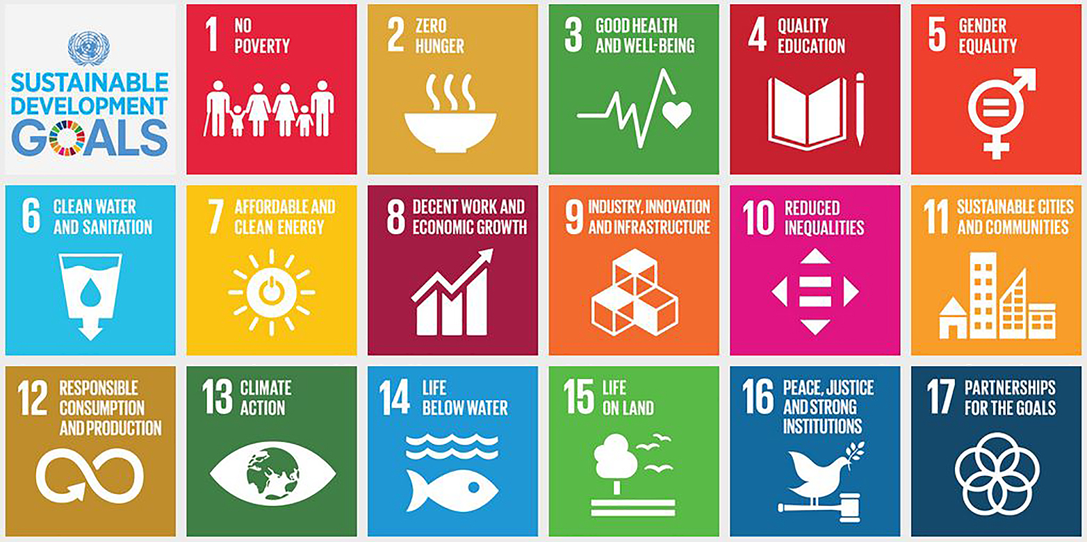 Enlarged view: Agenda 2030: Sustainable Development Goals