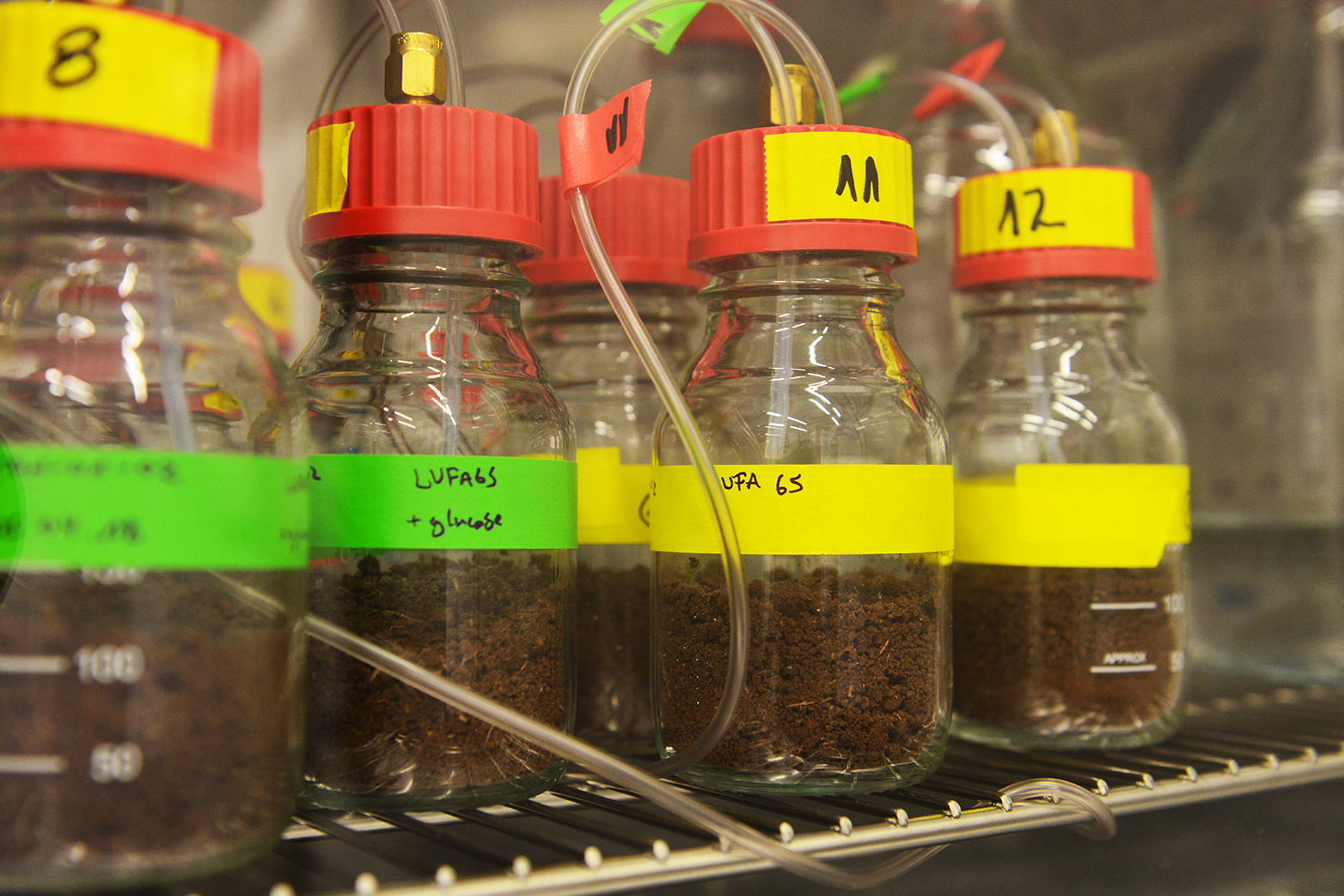 Enlarged view: The soils containing the pieces of mulch films are incubated in a temperature-controlled chamber. Microbes that biodegrade the films emit CO<sub>2</sub>, which is continuously analysed.