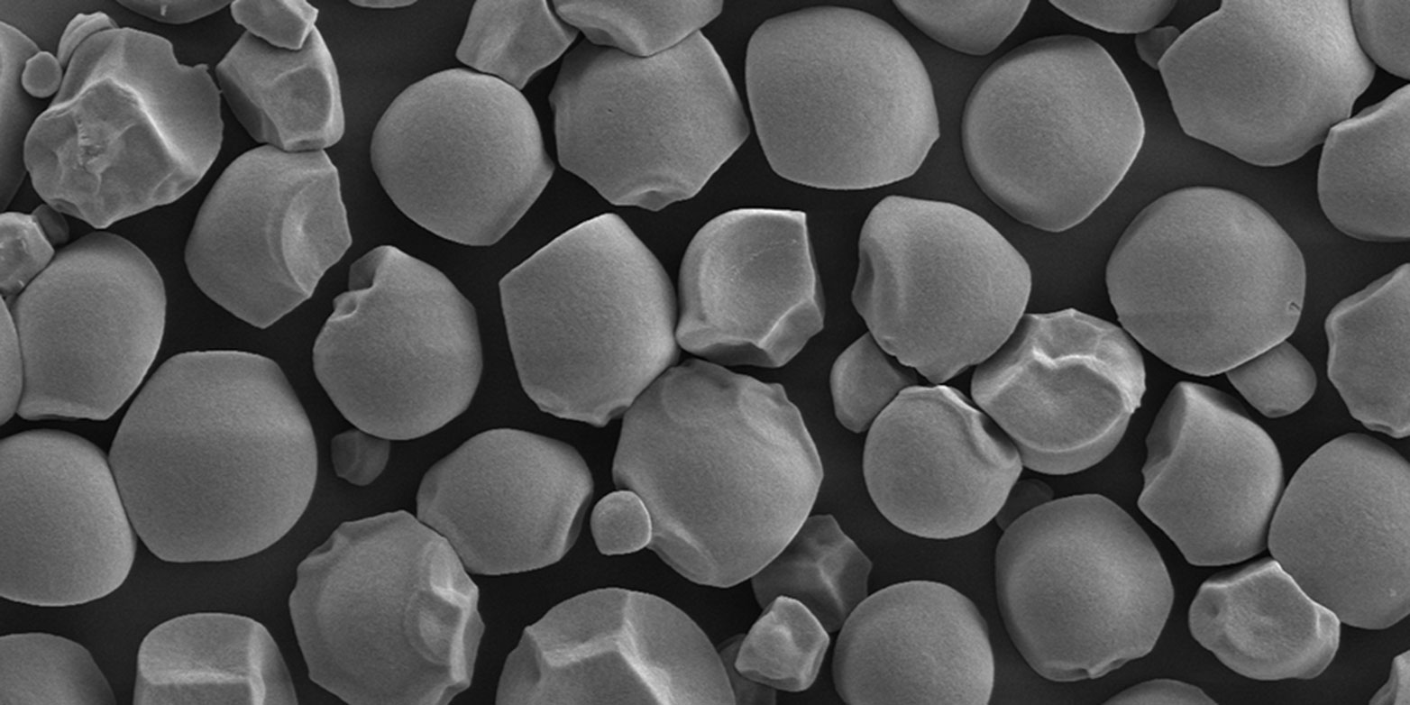 Amylose-free starch grains from cassava under the electron microscope. (Photograph: Simona Rodighiero, ScopeM, ETH Zurich)