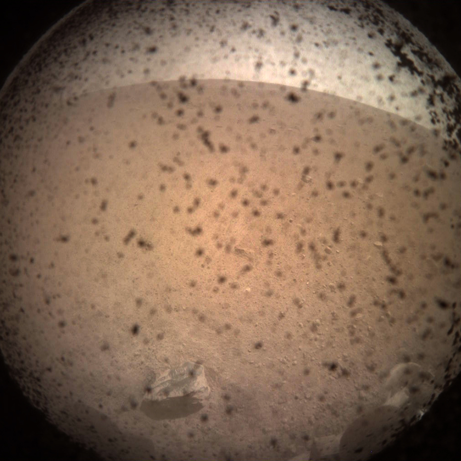First image taken by InSight