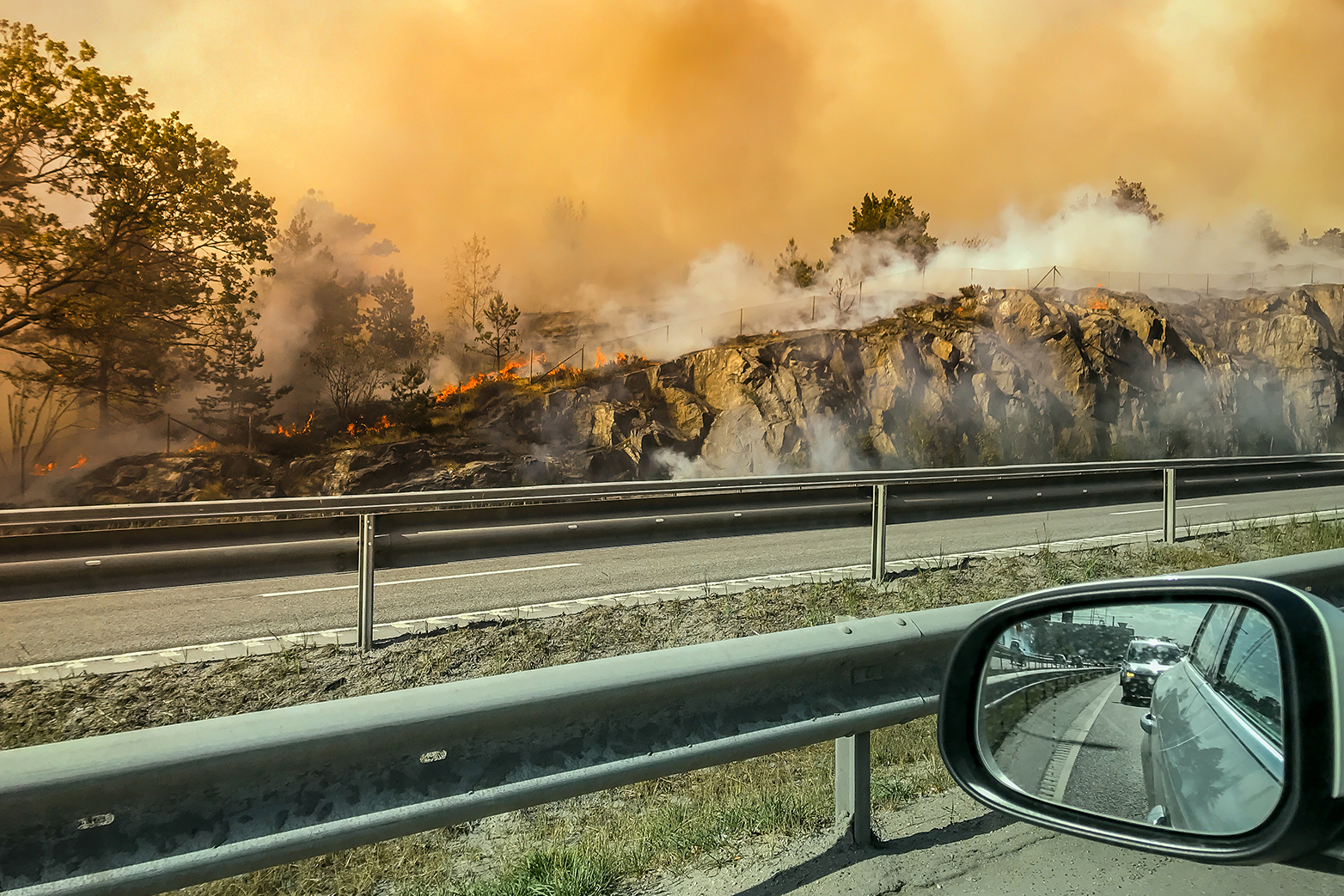 In Sweden, forests and peatbogs were burning. ( Photograph: Colourbox )