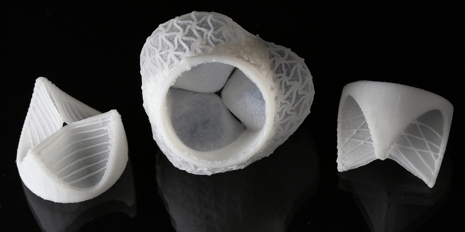 Multi-material additive manufacturing of patient-specific shaped heart valves. Elastomeric printing enables mechanical matching with the host biological tissue. (Photograph:&nbsp;Fergal Coulter / ETH Zurich)