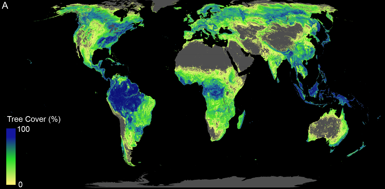 Total land available that can support trees across the globe