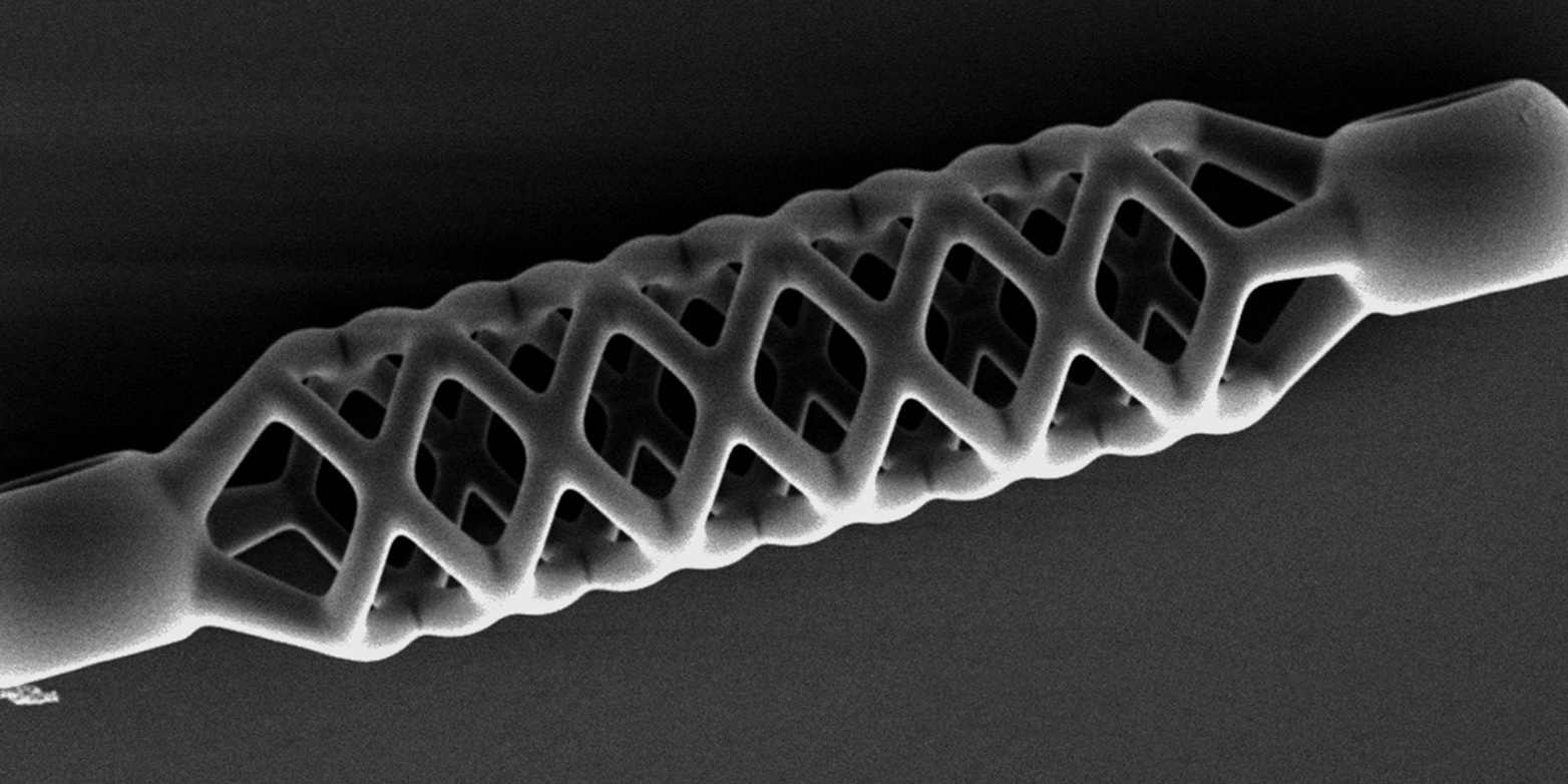 This microstent is just 50 micrometers (0.05 mm) wide and half a millimeter long. (Picture: Carmela de Marco / ETH Zurich)