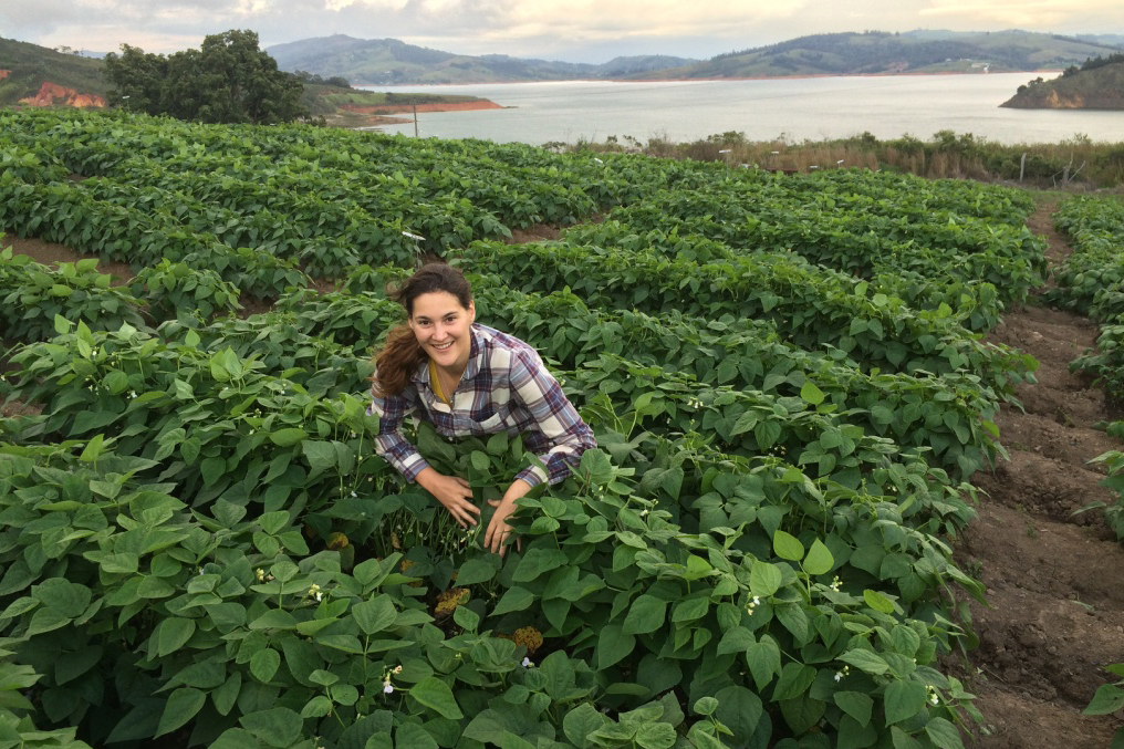 Enlarged view: Study author Michelle Nay in a test field in Colombia. (Photograph: courtesy of M. Nay)