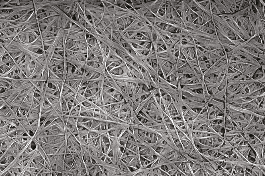 electron microscope image of cellulose fibres