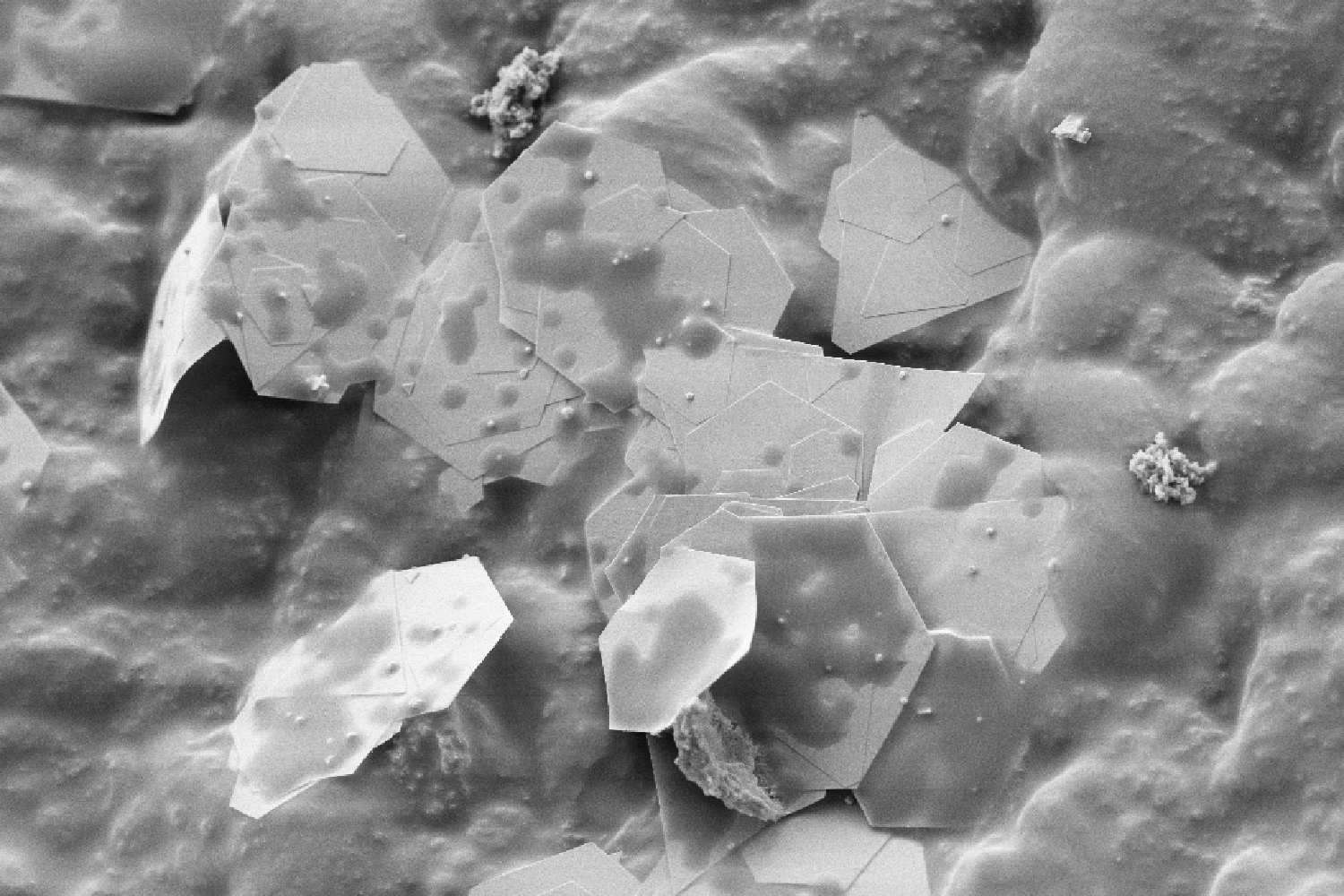 The nanoplatlets look like thin sheets of broken and cracked rocks under the microscope