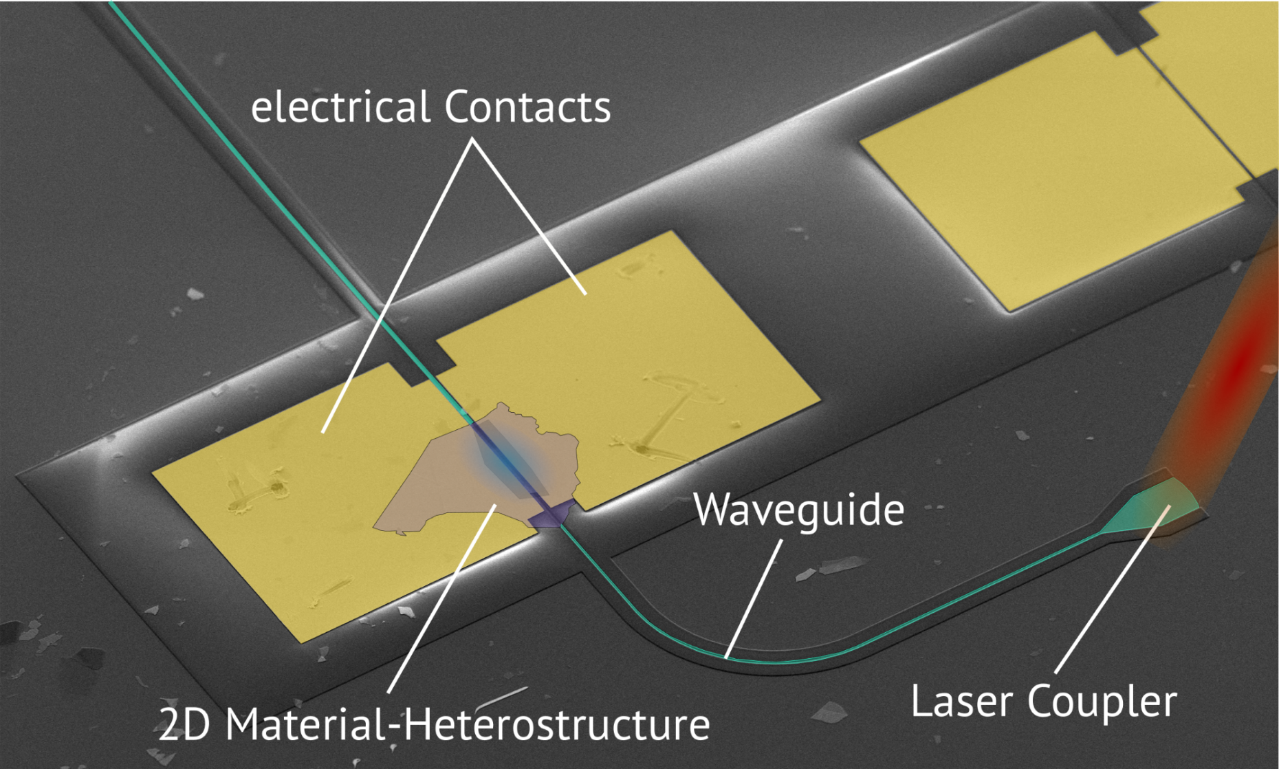 Enlarged view: An electron microscope image of the ETH light detector with the thin layer of the two-dimensional heterostructure, the optical waveguide and the electrical contacts through which the signal of the detector is read out. (Visualisation: ETH Zurich)