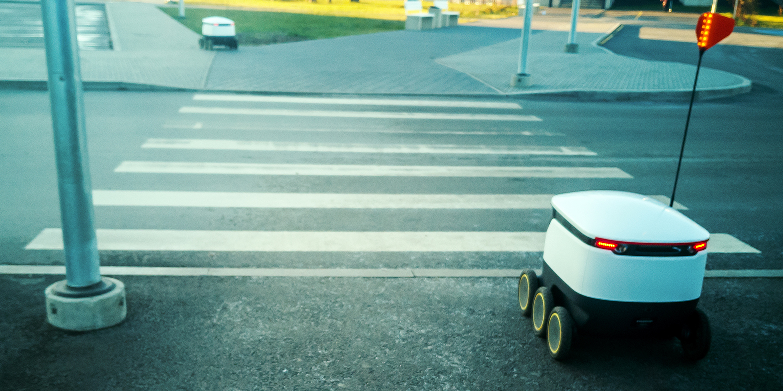 Delivery robot at a crossing