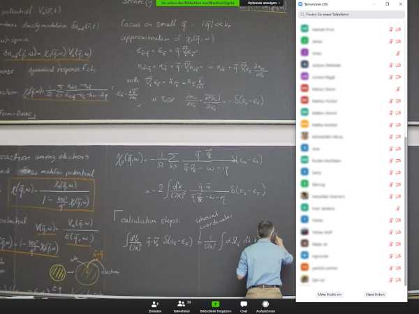 Screenshot of a online lecture in Physics