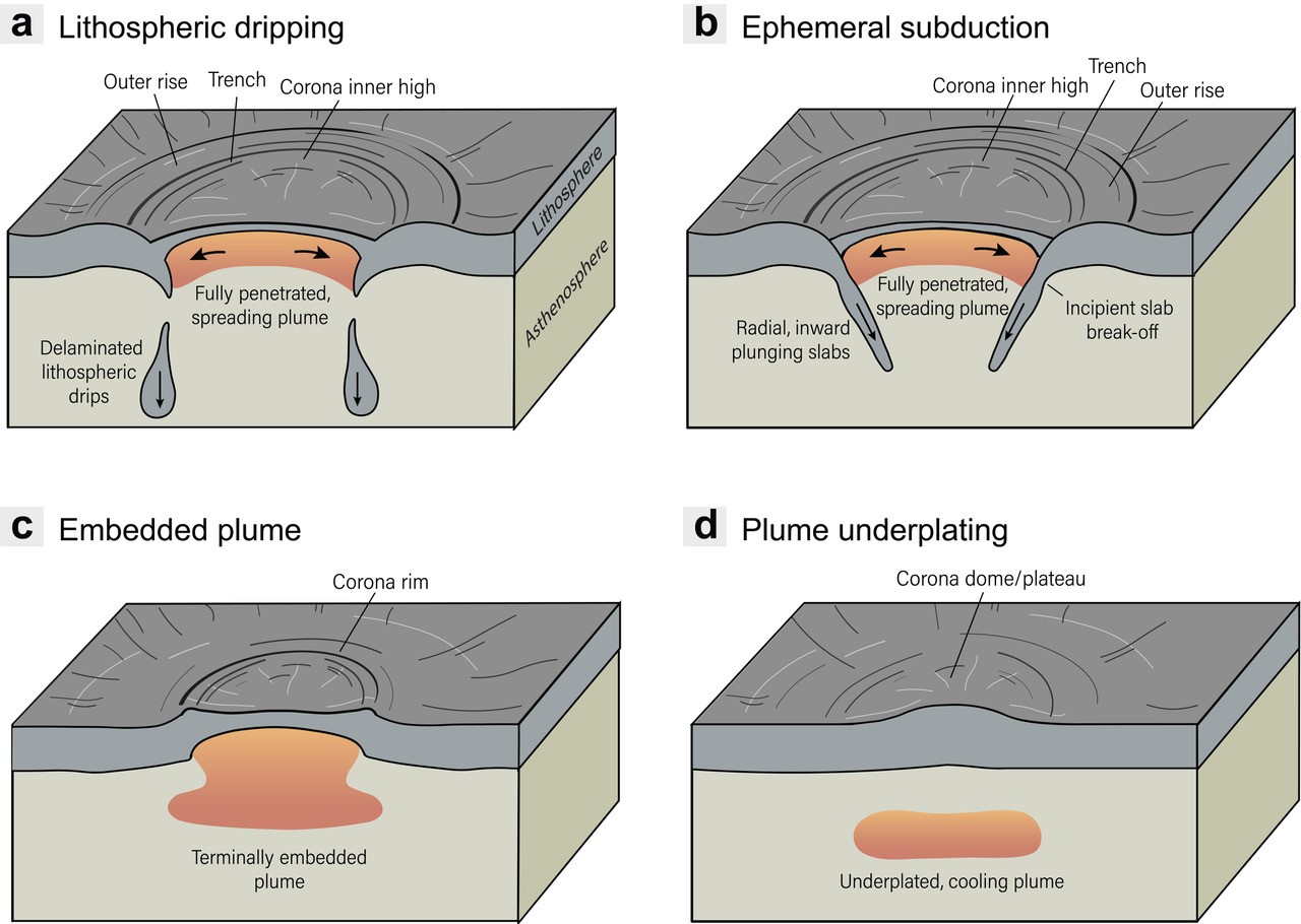 Enlarged view: Block diagram of the formation of coronae: A mantle plume that pierces the lithosphere causes downgoing crust at its margins (a,b). Weak plumes cannot supply material from the interior of Venus to the surface, leaving behind a different shape (d).