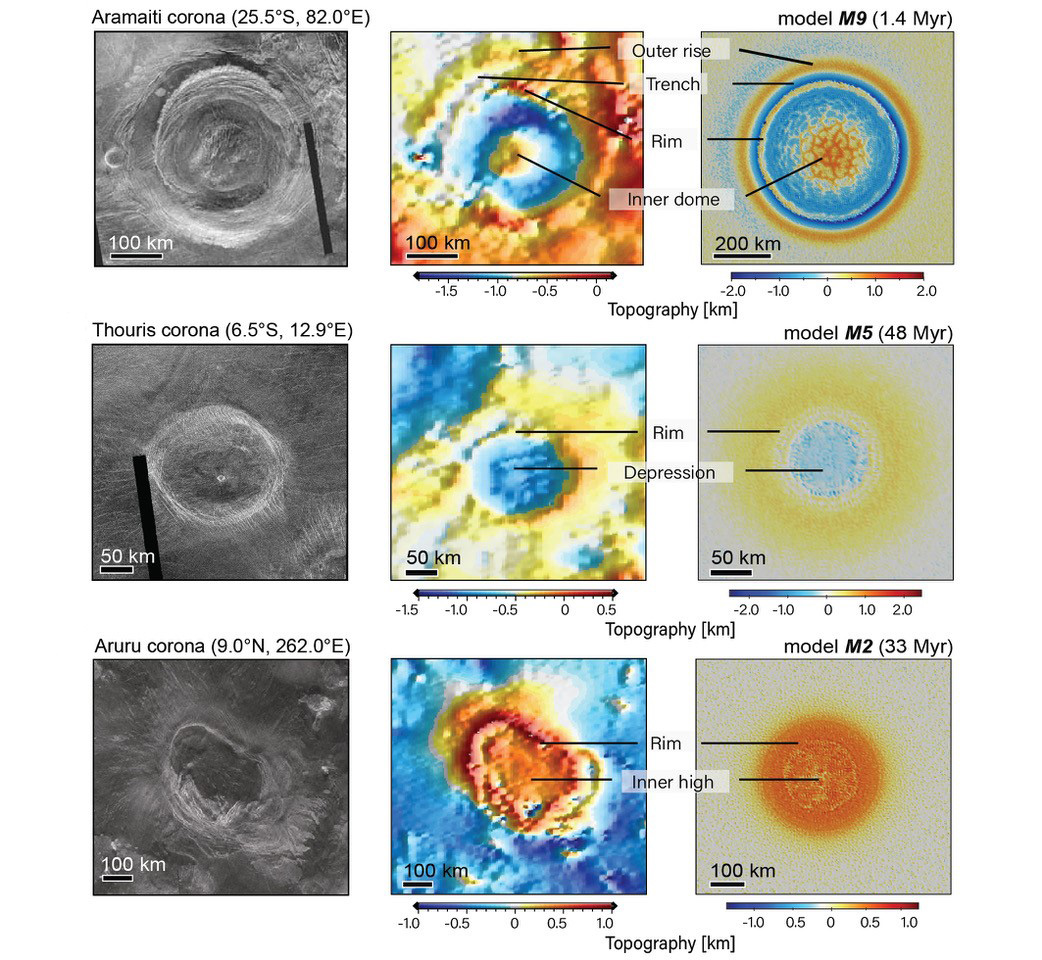Enlarged view: Radar images of coronae on Venus (left column) and their topographic signature (middle c.). Right column: Computer models that produced similar structures (from Gülcher et al., Nat. Geoscience, 2020)