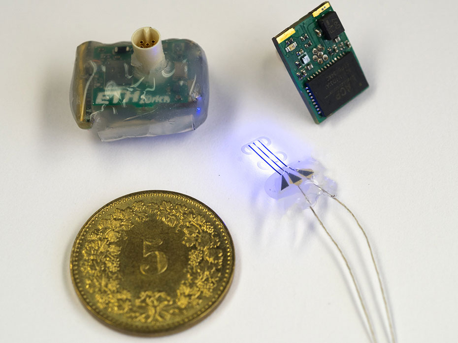 The small LED control unit (top left) and the LED implants (bottom right) form the new neurotechnology platform. Top right: assembled circuit before mounting the battery and packaging in silicone.