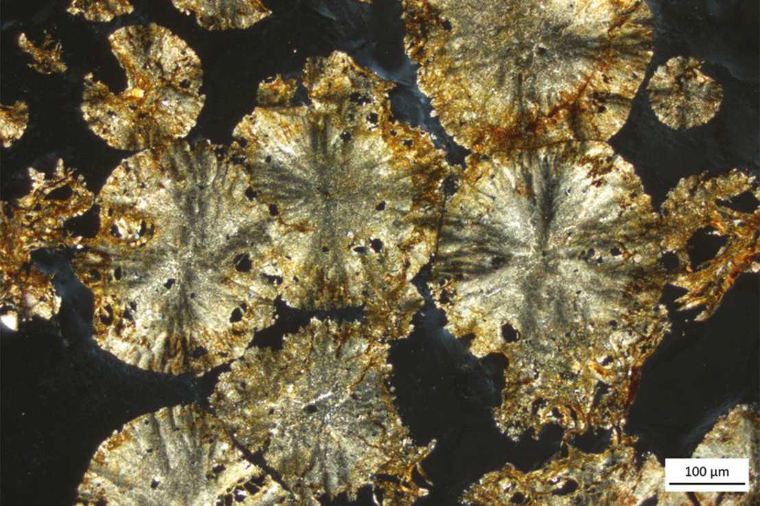 Siderite crystals appear golden brown against a black background