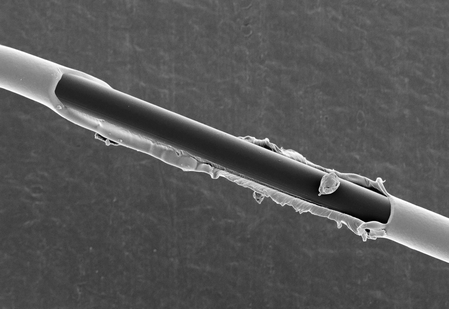 Micrograph of a hybrid fibre