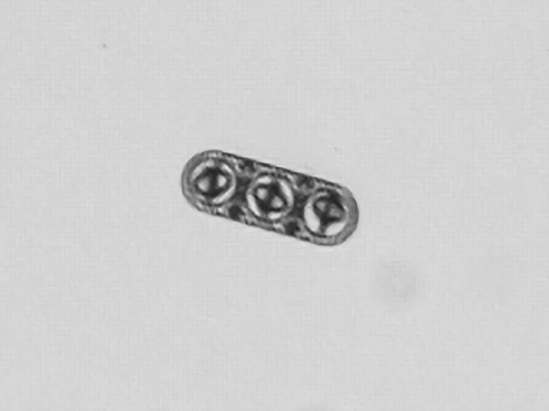 Enlarged view: Microscopic image of a microvehicle
