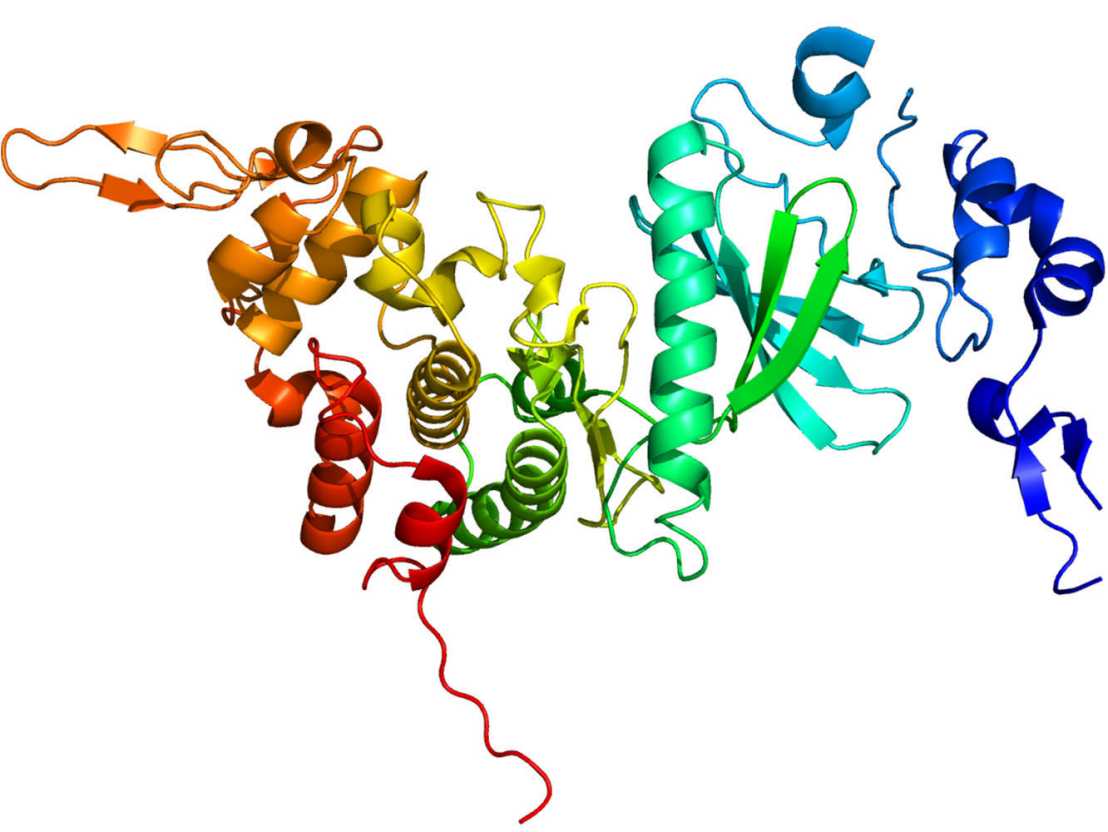 Enlarged view: Protein Dyrk2