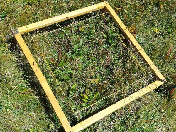 Changes in vegetation were monitored in 50 x 50 cm squares using a combination of different survey methods. (Photo: P. Descombes)
