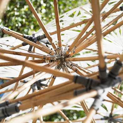 Bamboo construction