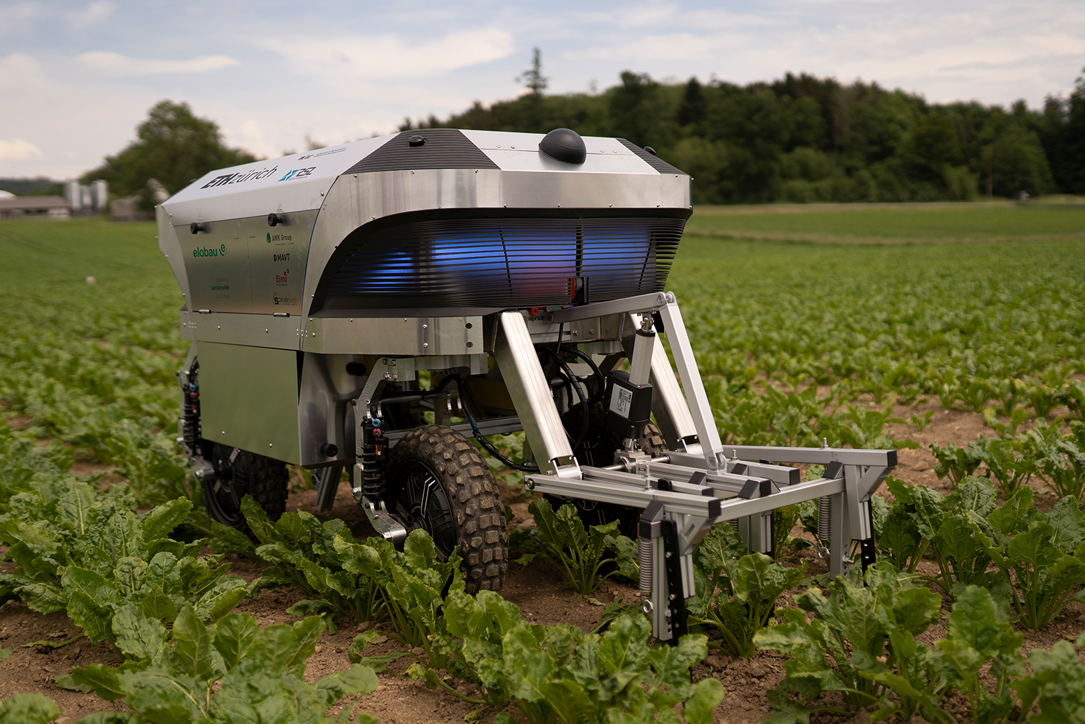 Weeding robot "Rowesys"