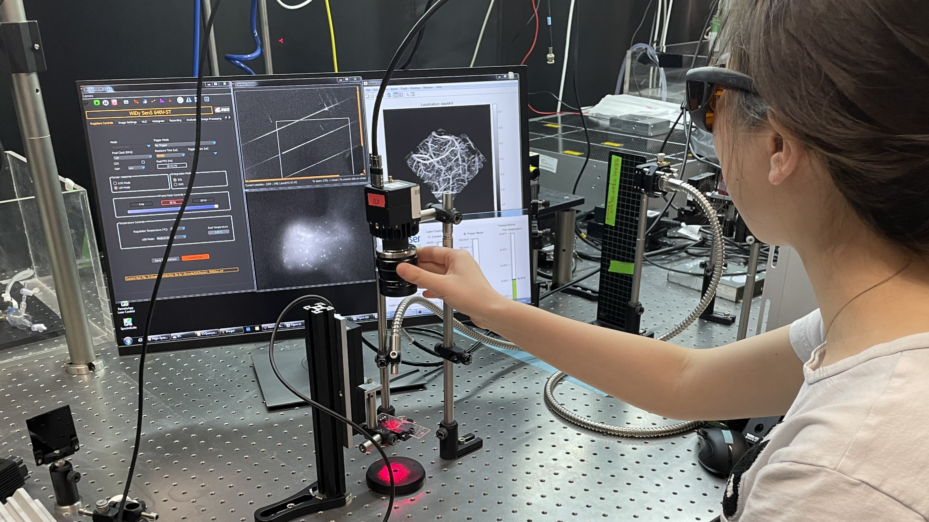 A woman looks at two images of brains on screens in the lab