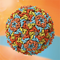 Illustration Viruses