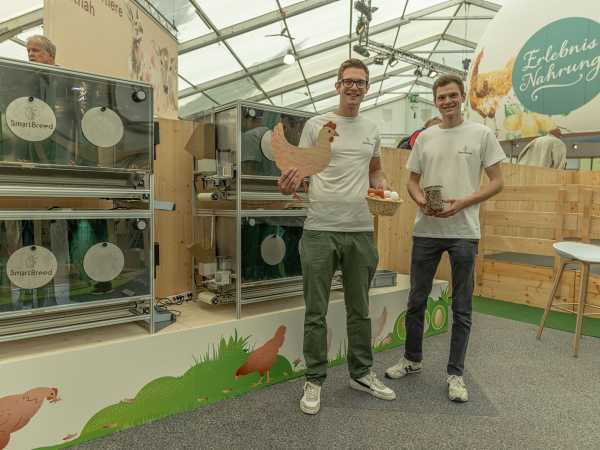 vollautomatisierte Insekten-Zuchtbox für nachhaltige Geflügelfütterung